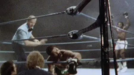 40 Years of Rocky The Birth of a Classic 2020