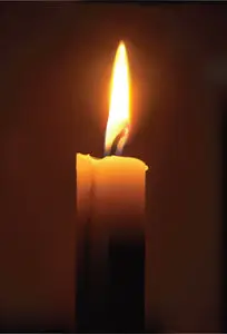Candle Vector