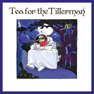 Cat Stevens, Yusuf - Tea For The Tillerman² (2020) [Official Digital Download]