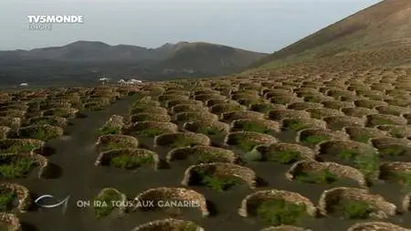 TV5Monde Thalassa - On ira tous aux Canaries (2016)