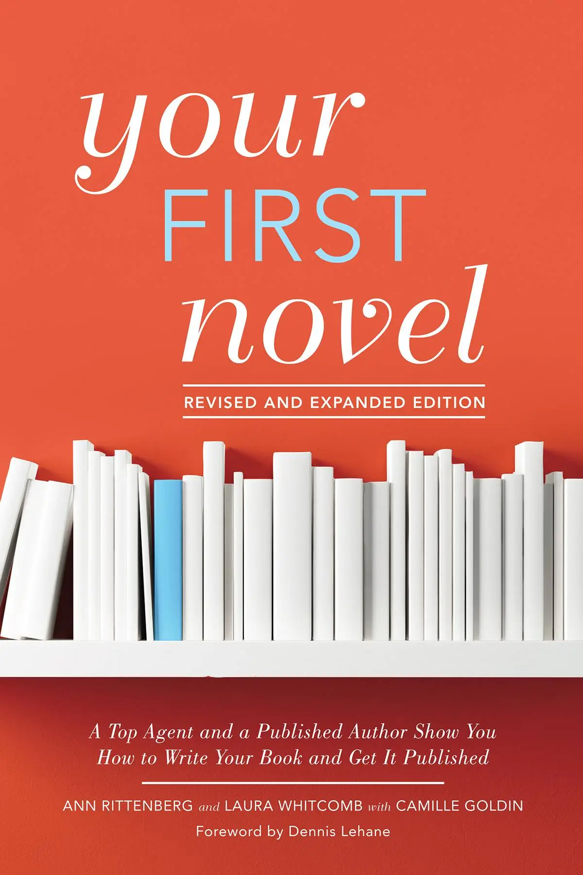Your First Novel: A Top Agent and a Published Author Show You How to Write Your Book..., 2nd Revised & Updated Edition