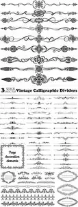 Vectors - Vintage Calligraphic Dividers