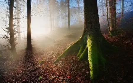 HD Wallpapers Wide Pack #53