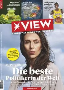 Der Stern View Germany - Januar 2021