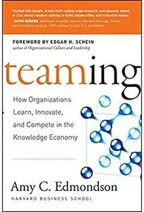 Teaming: How Organizations Learn, Innovate, and Compete in the Knowledge Economy [Repost]