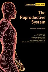 Reproduct Sys (Your Body) (Your Body: How It Works) by Randolph Krohmer 