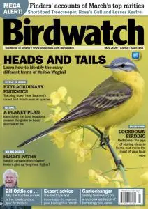 Birdwatch UK - Issue 334 - May 2020