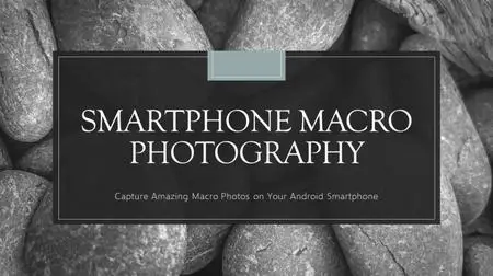 How to Take Amazing Macro Photos with Your Smartphone!