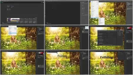 Neues in der Creative Cloud: Photoshop CC Updates erklärt