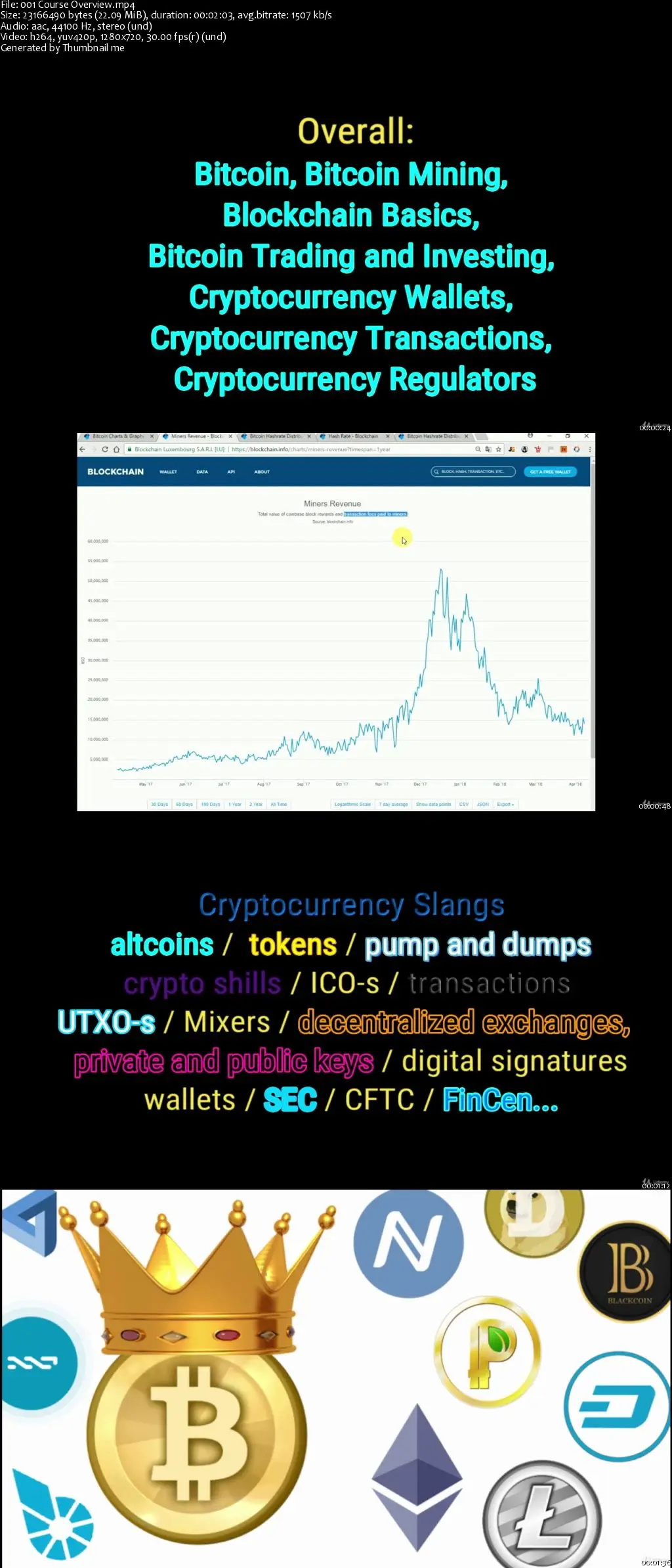 bitcoin trading & bitcoin mining crypto slang course