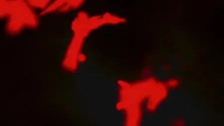 Yasuke S01E02