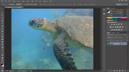 Your First Day with Photoshop CC [repost]