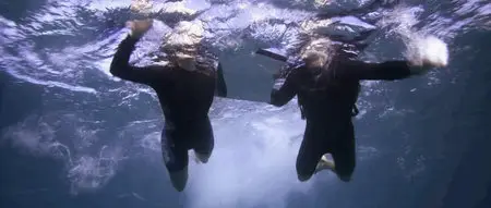 The Reef (2010)