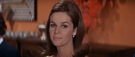 The Party (1968) [MultiSubs]