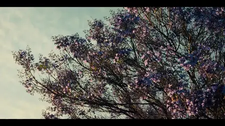 Nobody Wants This S02E08