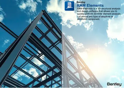 RAM Elements 2025 (25.00.00.208)