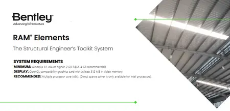 RAM Elements 2025 (25.00.00.208)