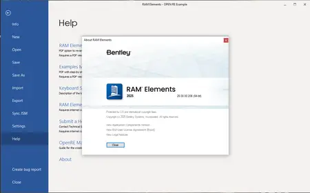 RAM Elements 2025 (25.00.00.208)