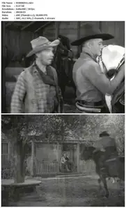 Border Vigilantes (1941)