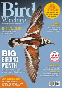 Bird Watching UK - November 2024