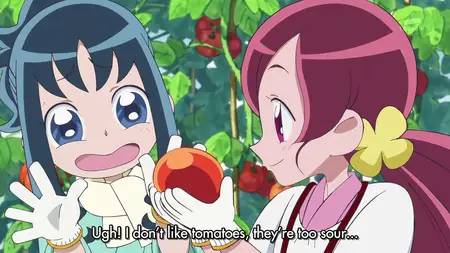 Heartcatch Precure 19hd ,720p| mp4 ~bY Aesir - "HeartCatch Precure 19HD par2" yEnc