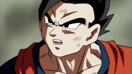 Dragon Ball Super (2015 S05E47 Body Soul and Power Unleashed! Goku and Vegeta! ZR