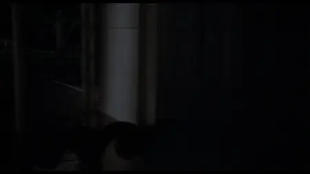 Eyewitness (1981)