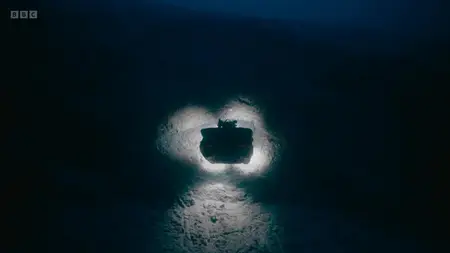 BBC - Deep Ocean: Kingdom of the Coelacanth (2025)
