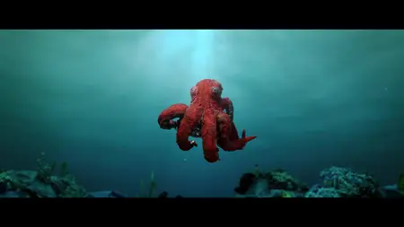 Octopus! S01E02