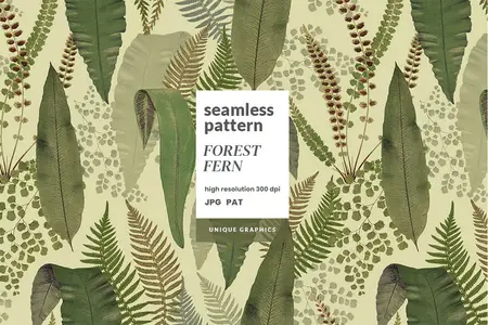 EE - Forest Fern Pattern JTEJHVU