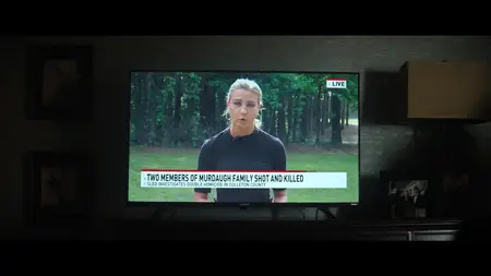 Murdaugh: morte in famiglia S01E07