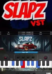 Diamond Loopz Slapz VST v1.0 (Win/macOS)