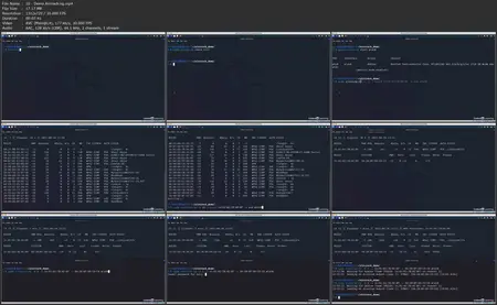 Security Testing Essential Training [Released: 7/30/2025]
