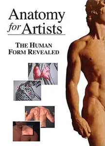 Anatomy for Artists: The Human Form Revealed [repost]