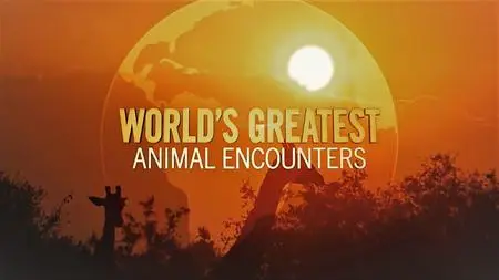 PBS - Worlds Greatest Animal Encounters: Series 1 (2020)