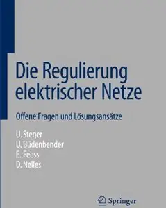 Die Regulierung elektrischer Netze: Offene Fragen und Lösungsansätze