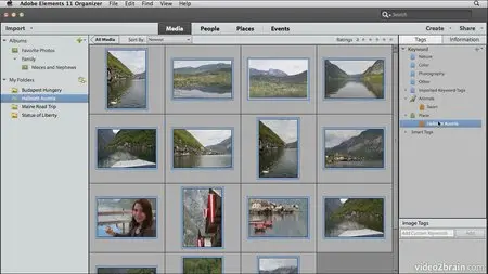 Video2Brain - Adobe Photoshop Elements 11: Learn by Video