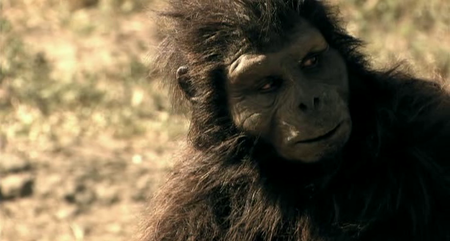 Ape to Man (2005)