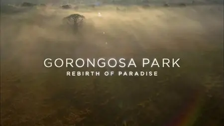 PBS - Gorongosa Park: Rebirth of Paradise (2015)