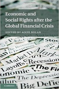 Economic and Social Rights after the Global Financial Crisis (Repost)