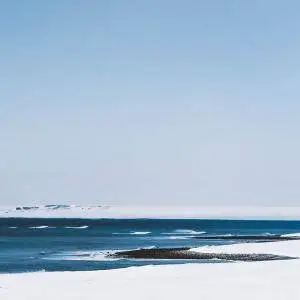 Powlos - Pareidolia (2018)