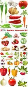 Vectors - Realistic Vegetables Set