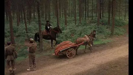Countess Dracula (1971)