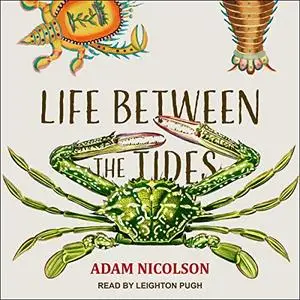 Life Between the Tides [Audiobook]