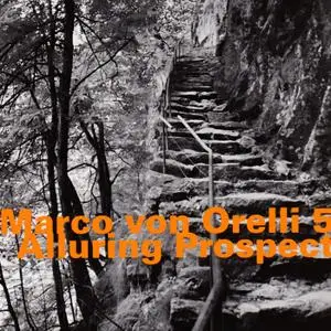 Marco von Orelli 5 - Alluring Prospect (2015)
