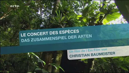 Luxuriante Amazonie: Le concert des espèces (2010)