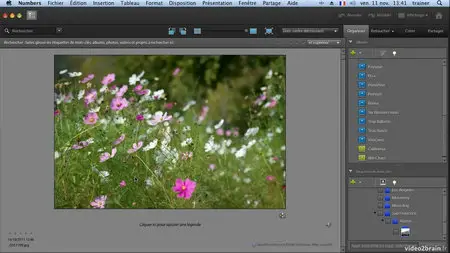 Photoshop Elements 10 : Les fondamentaux [repost]