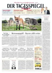 Der Tagesspiegel - 22 Juli 2015