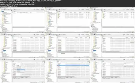 Learning Cyber Incident Response and Digital Forensics