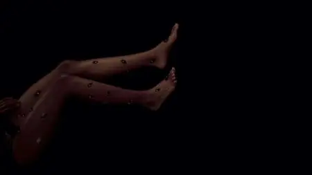 Random Acts of Flyness S01E06